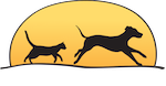 Sunchaser Kennels